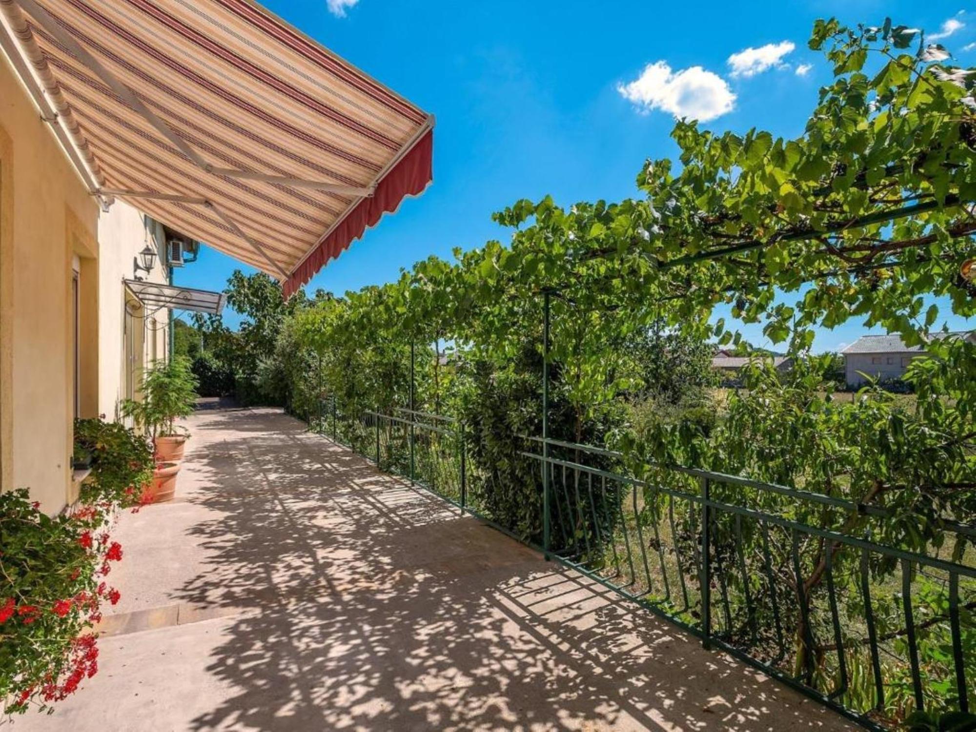 Drazice Apartments Villa Roza חדר תמונה